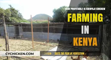 Kienyeji Chicken Farming: A Profitable Venture in Kenya?