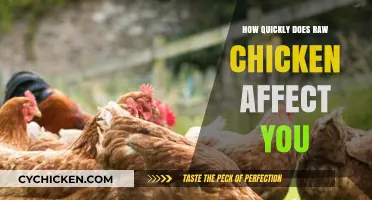Raw Chicken Risks: How Fast Can It Make You Sick?