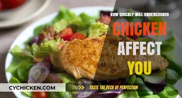 Undercooked Chicken Risks: How Fast Symptoms Appear After Consumption