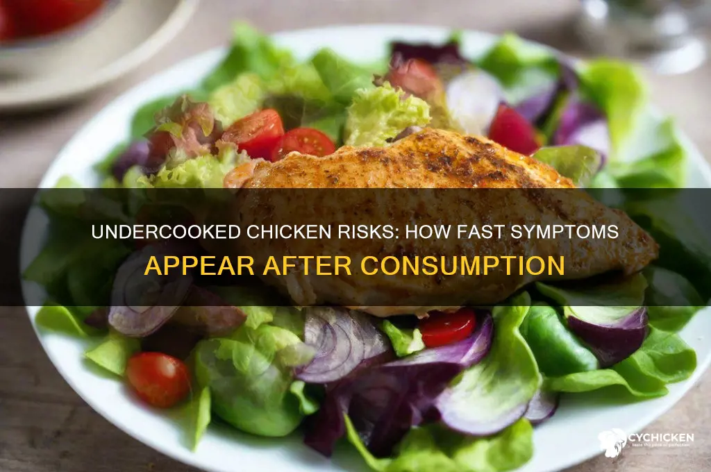 how quickly will undercooked chicken affect you