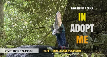 Finding Rare Chicks in Adopt Me: A Guide