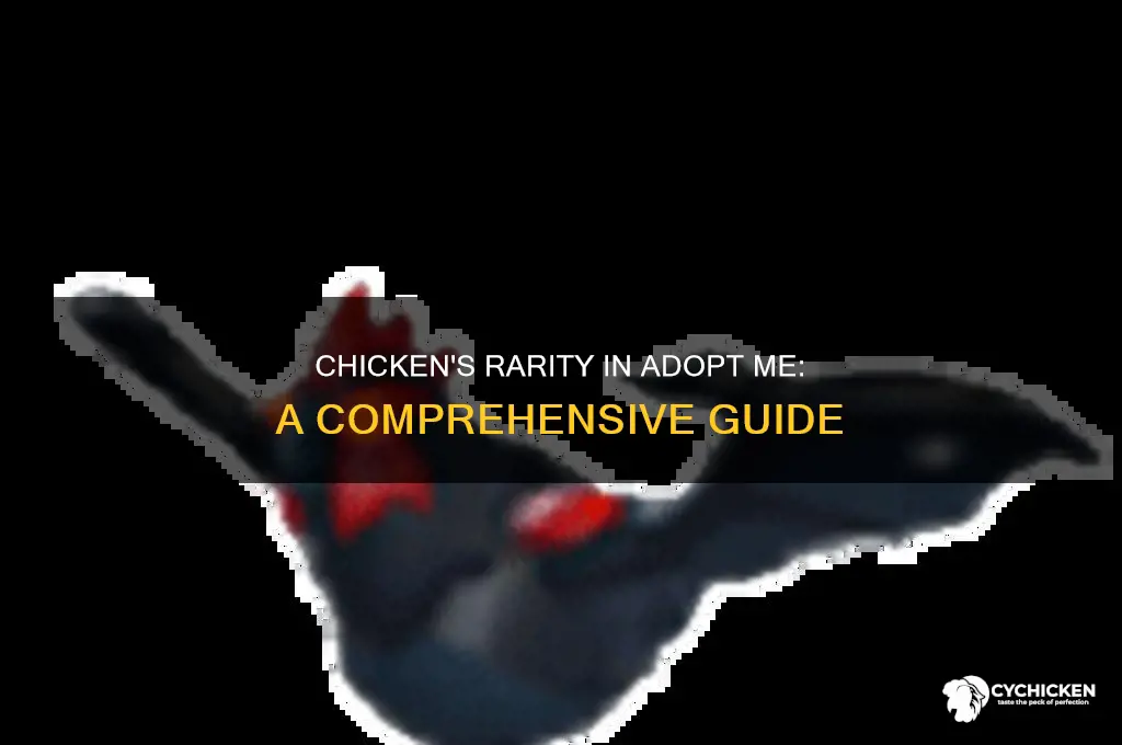 how rare is a chicken in adopt me