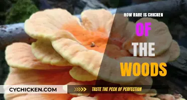 Chicken of the Woods: Uncovering the Rarity of This Edible Fungus
