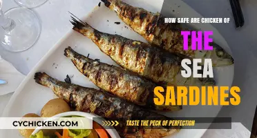 Chicken of the Sea Sardines: Safe and Nutritious