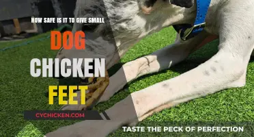 Chicken Feet for Small Dogs: Safe or Not?