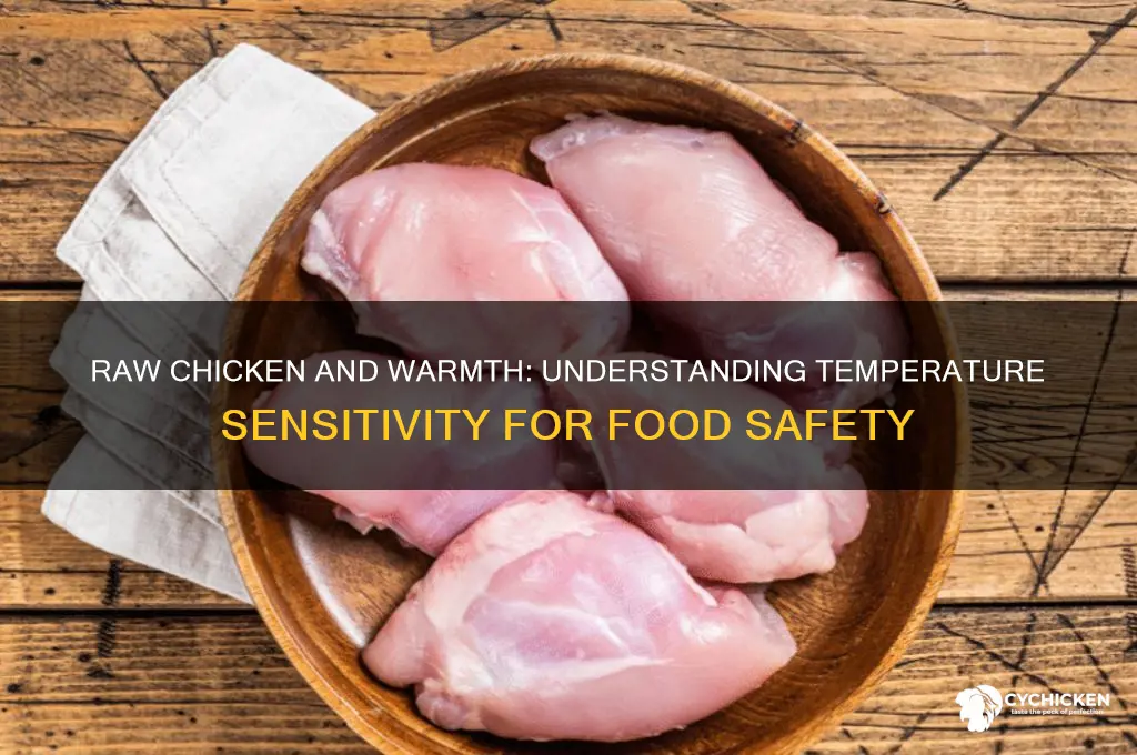 how sensitive is raw chicken to warmth
