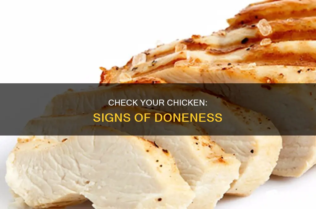 how should chicken look when it
