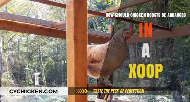Arranging Chicken Roosts in a Coop: Maximizing Space
