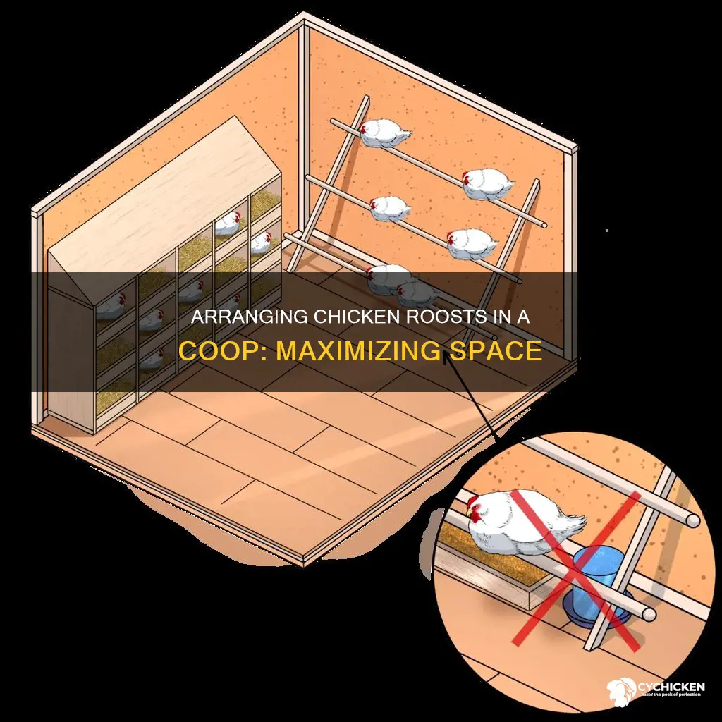 how should chicken roosts be arranged in a xoop