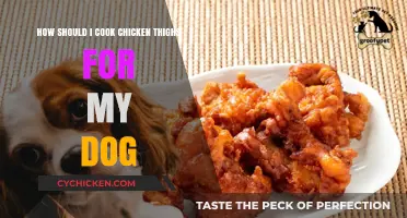 Safe and Tasty Chicken Thighs: A Dog-Friendly Cooking Guide