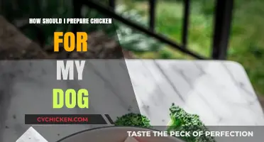 Preparing Chicken for Your Dog: A Guide
