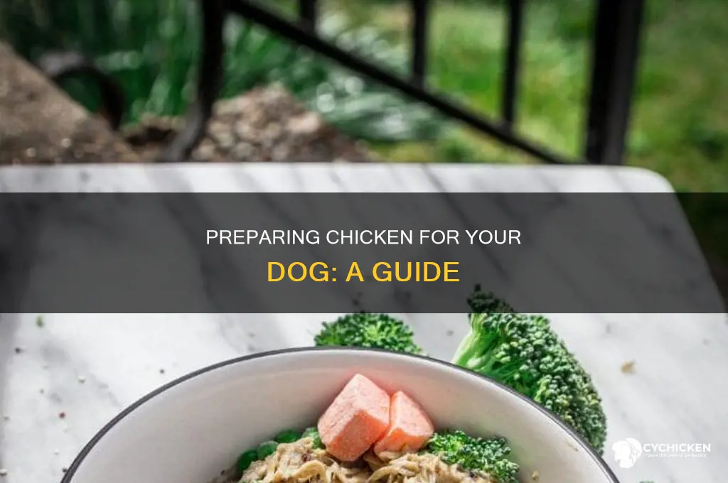 how should i prepare chicken for my dog