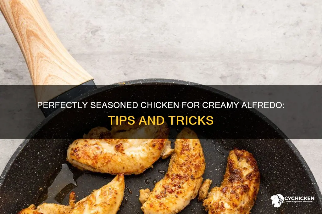 how should i season chicken for alfredo