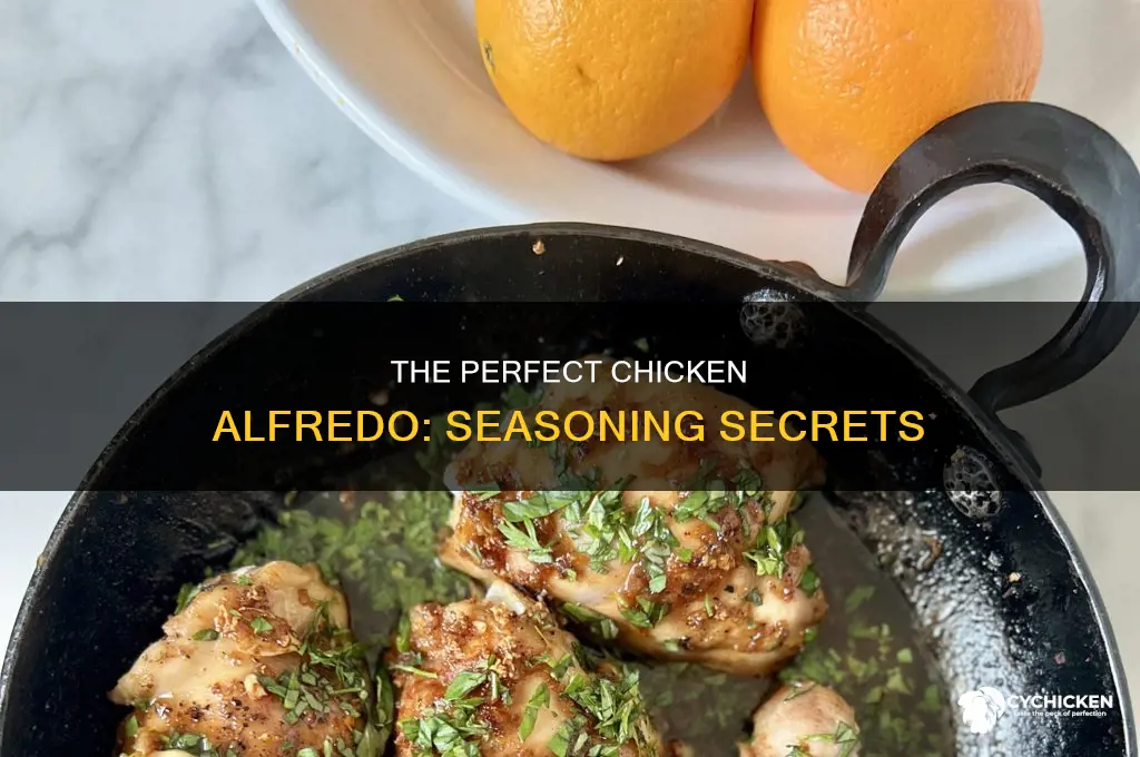 how should i season chicken for chicken alfredo