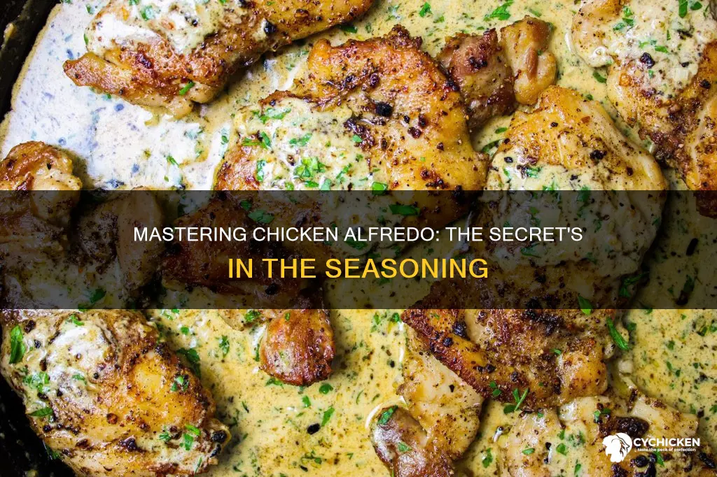 how should i season my chicken for chicken alfredo