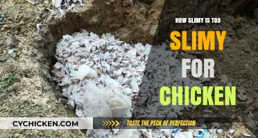 Is Your Chicken Too Slimy? A Guide to Safe Sliminess