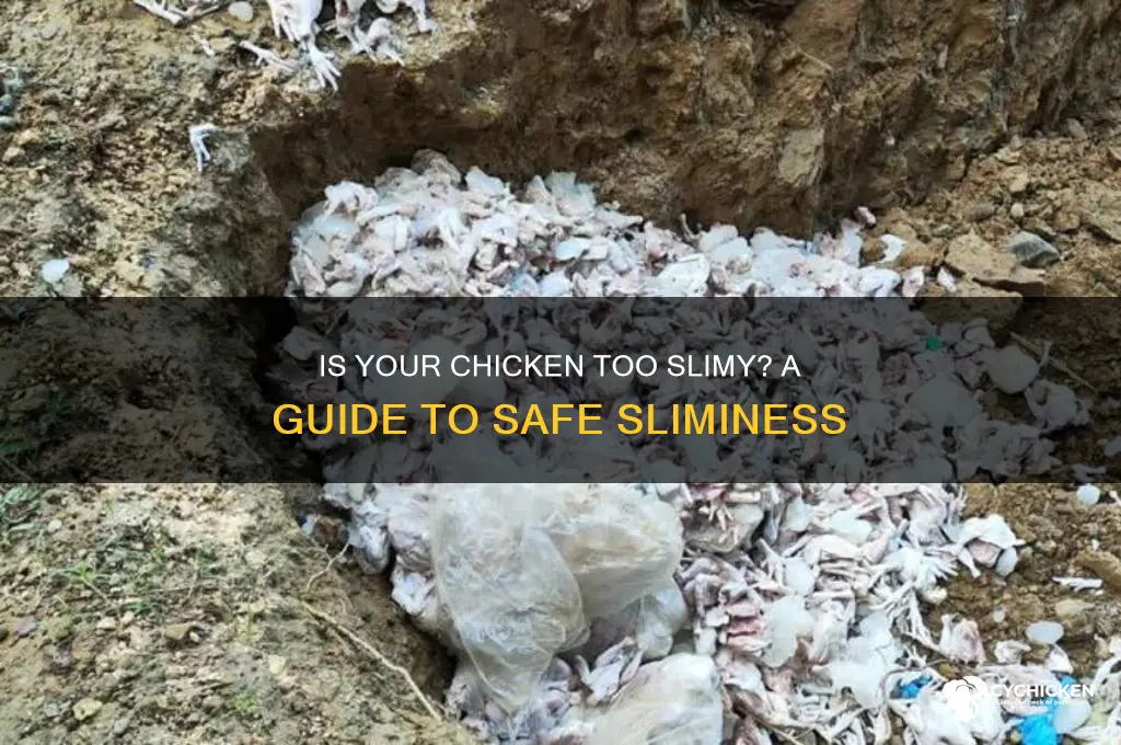 how slimy is too slimy for chicken