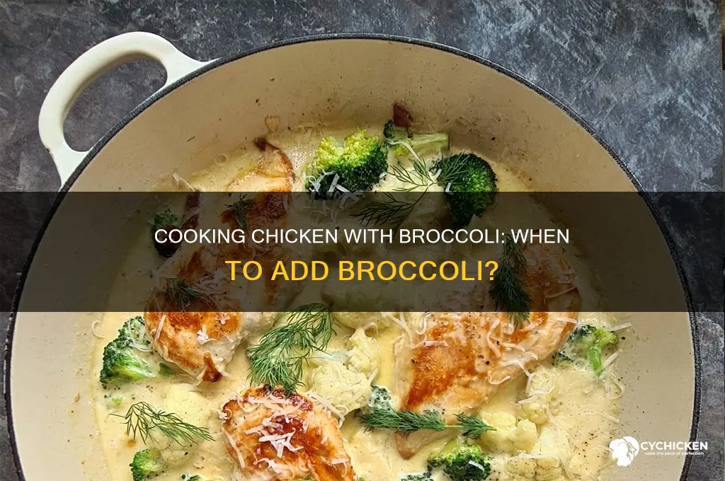 how soon should i add brocolli to chicken