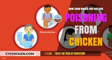 Chicken Poisoning: How Soon Would Symptoms Show?