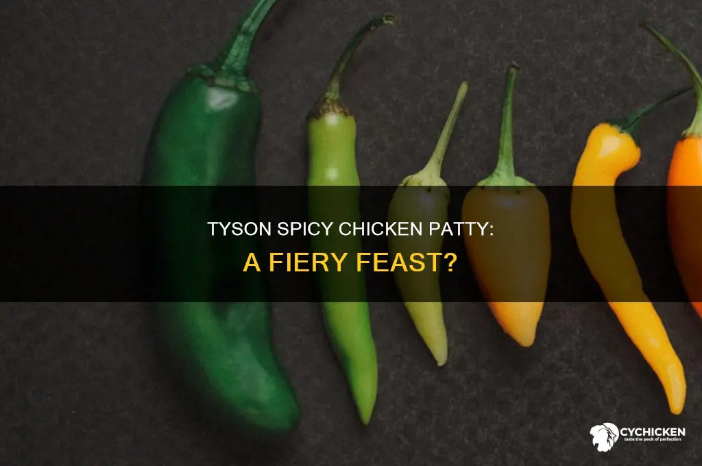 how spicy is a tyson spicy chicken patty