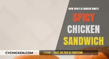Burger King's Spicy Chicken Sandwich: Heat Level Reviewed