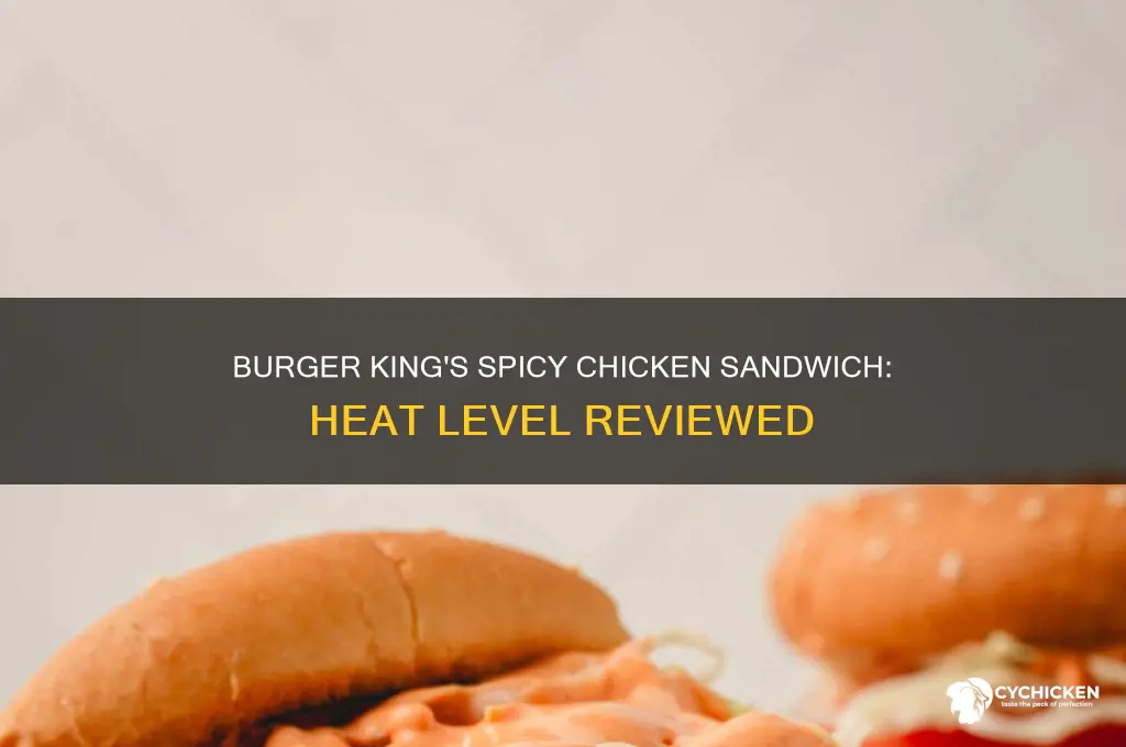 how spicy is burger king