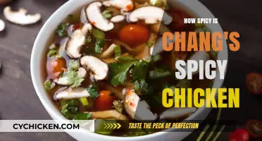 Chang's Spicy Chicken: A Fiery Adventure in Heat and Flavor