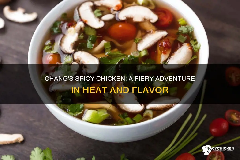 how spicy is chang