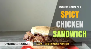Chick-fil-A's Spicy Chicken Sandwich: Heat Level and Flavor Review