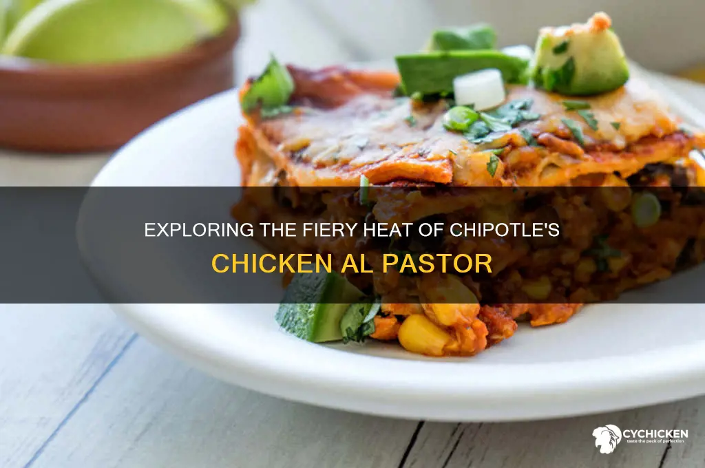 how spicy is chicken al pastor chipotle