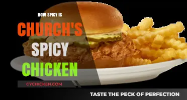 Church's Spicy Chicken: Heat Level Review and Taste Test
