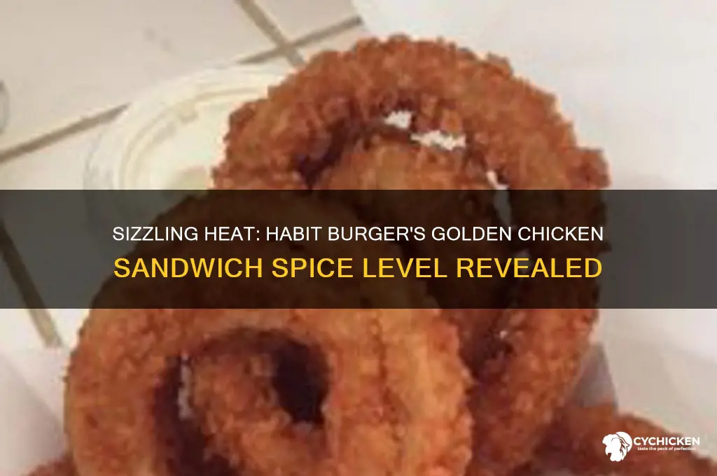 how spicy is habit burger golden chicken sandwich