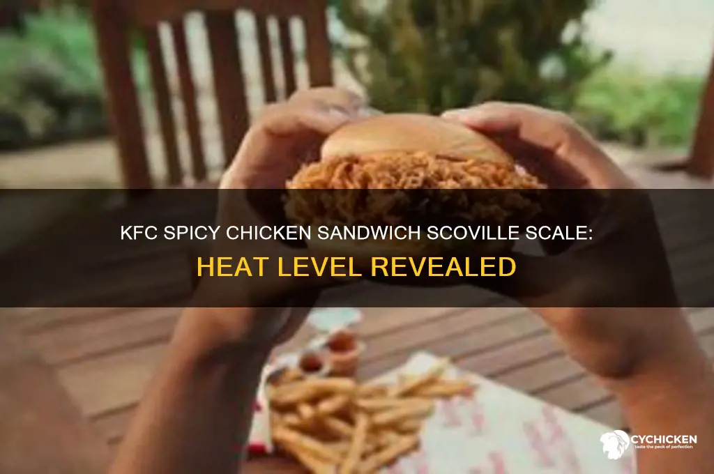 how spicy is kfc spicy chicken sandwich scoville