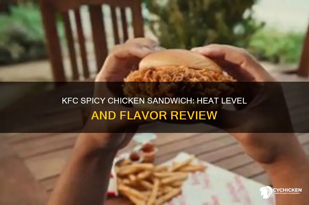 how spicy is kfc spicy chicken sandwich
