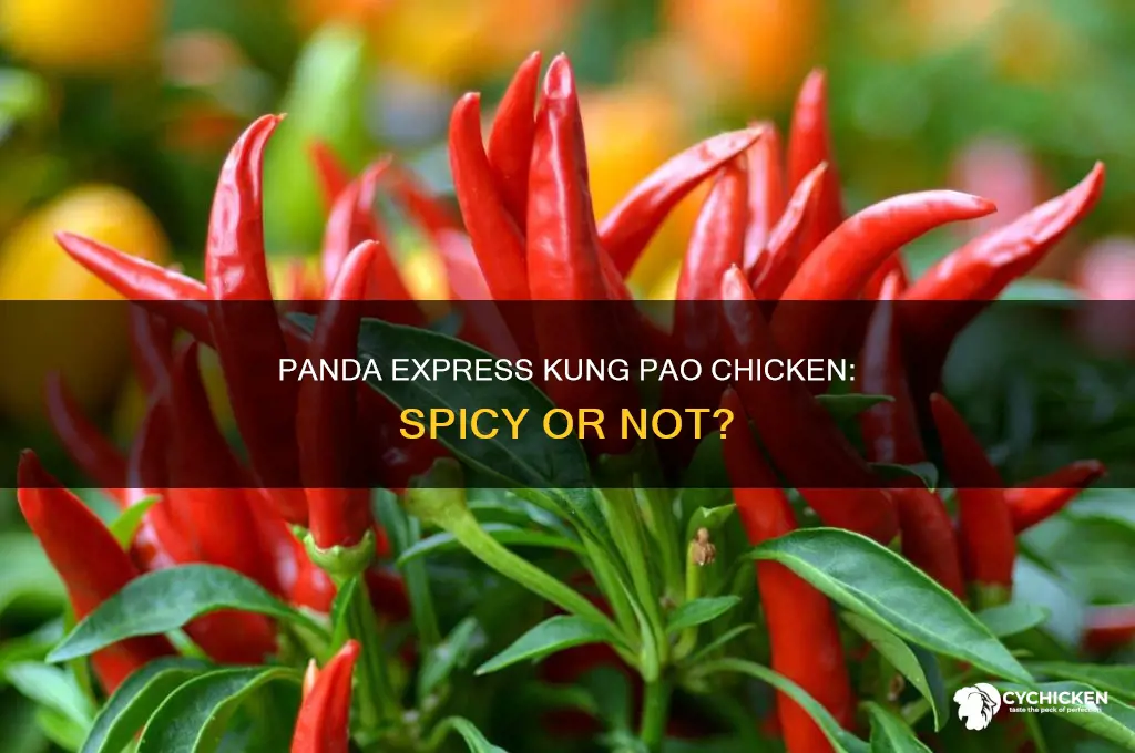 how spicy is panda express kung pao chicken