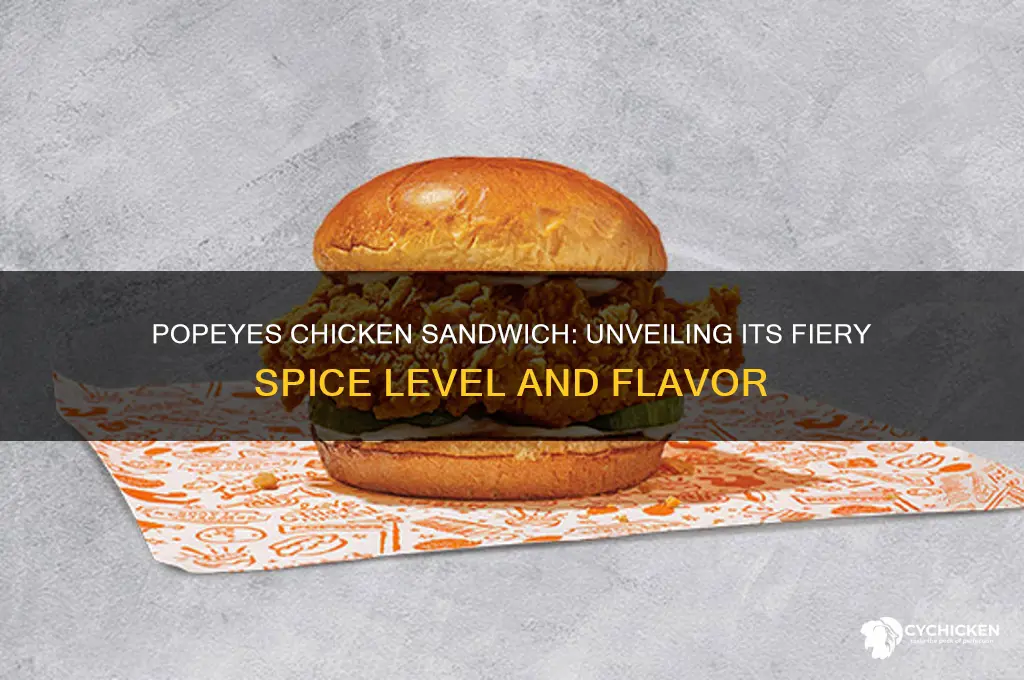 how spicy is popeyes chicken sandwich