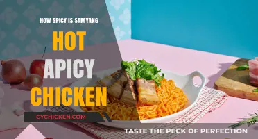 Sizzling Heat: Samyang Hot Spicy Chicken's Fiery Flavor Explored