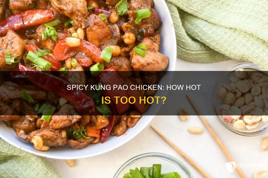 how spicy is take out kung pao chicken