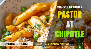 Chipotle's Chicken Al Pastor: A Spicy Adventure