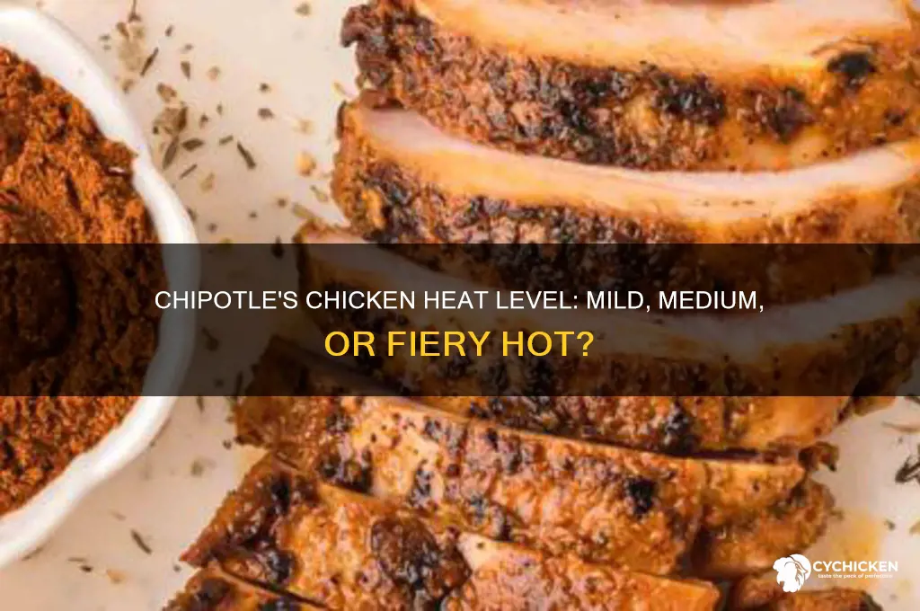 how spicy is the chicken at chipotle