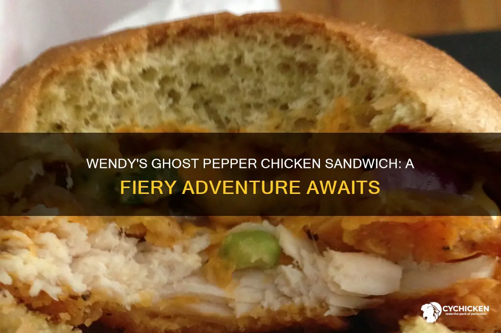 how spicy is the ghost pepper chicken sandwich at wendy