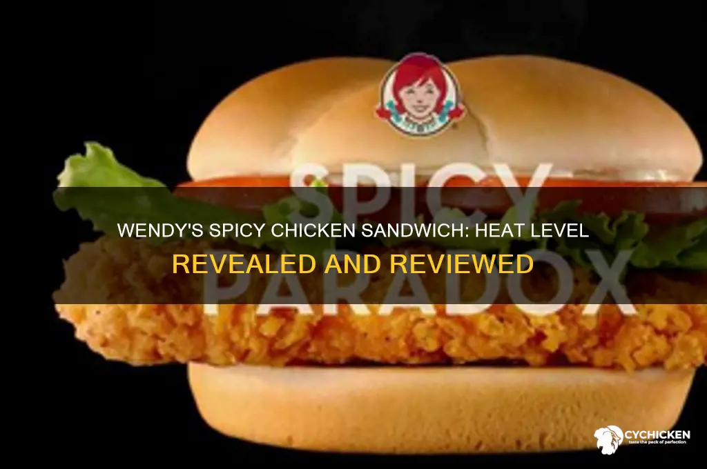 how spicy is wendy
