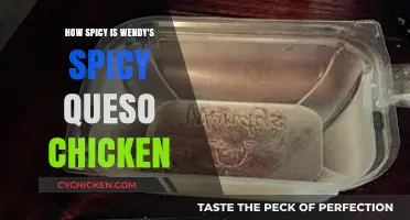 Wendy's Spicy Queso Chicken: A Tangy Adventure