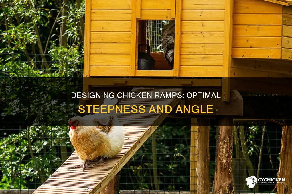how steep does the chicken ramp need to be