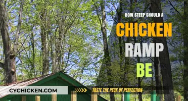 Ideal Chicken Coop Ramp Slope: Ensuring Safe and Easy Access