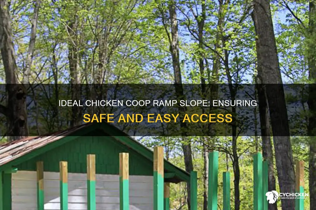 how steep should a chicken ramp be