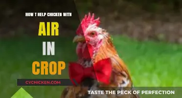 Relieving Air Crop in Chickens: A Quick Guide