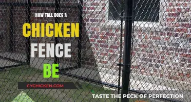 Ideal Chicken Fence Height: Protecting Your Flock from Predators