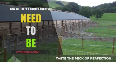 Chicken Run Fence: How High is High Enough?