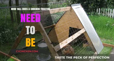 The Optimum Height for Chicken Tractors: How Tall is Too Tall?